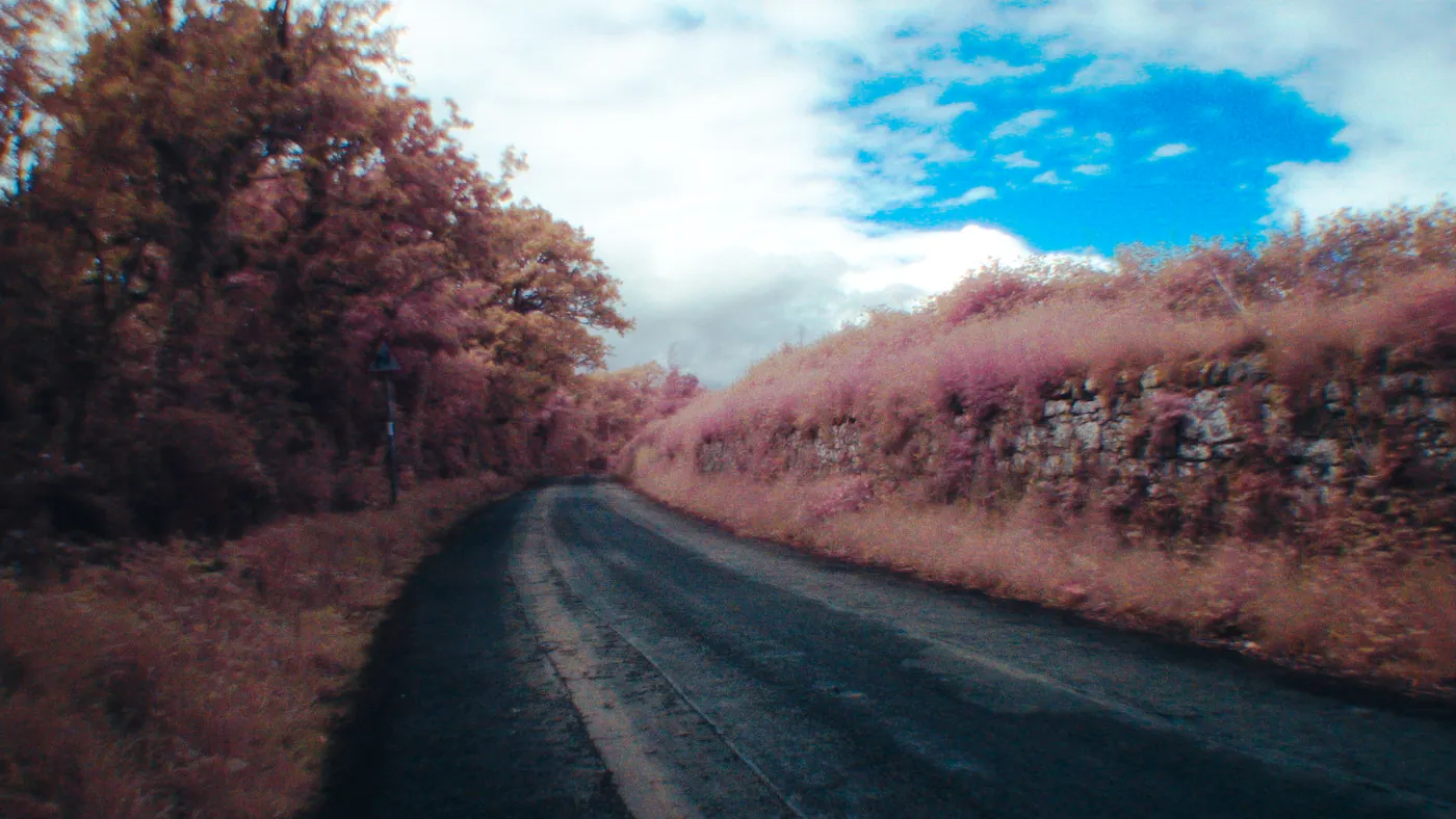 A frame from a walk: a path between hedges that the OV5647 sensor turned pink